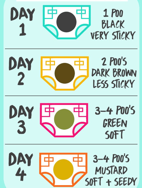 Stool Chart For Newborns