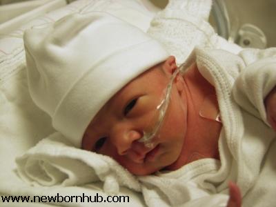 Premature baby at NewbornHub.com